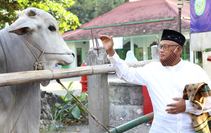 Spirit Berkurban untuk Harmoni Spiritual dan Sosial